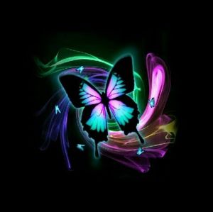 Meet your Posher, Colleen